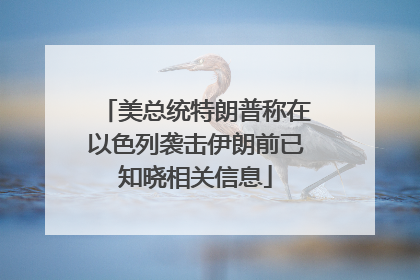 美总统特朗普称在以色列袭击伊朗前已知晓相关信息