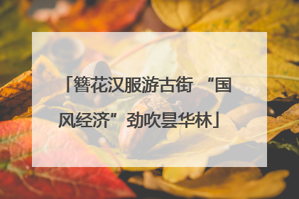 簪花汉服游古街 “国风经济”劲吹昙华林