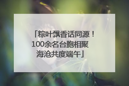 粽叶飘香话同源！100余名台胞相聚海沧共度端午