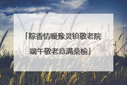 粽香情暖豫灵镇敬老院 端午敬老意满桑榆
