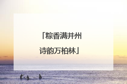 粽香满并州 诗韵万柏林