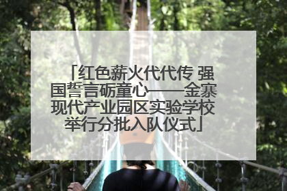 红色薪火代代传 强国誓言砺童心——金寨现代产业园区实验学校举行分批入队仪式