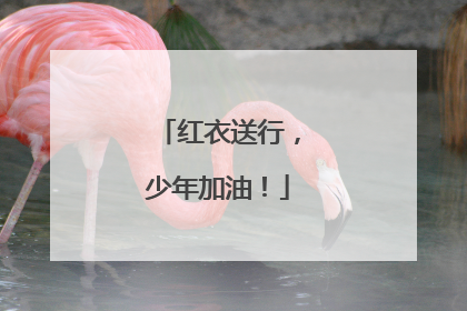 红衣送行，少年加油！