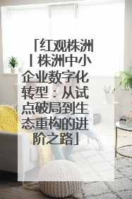 红观株洲丨株洲中小企业数字化转型：从试点破局到生态重构的进阶之路