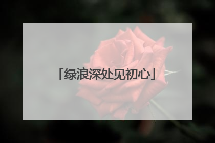 绿浪深处见初心