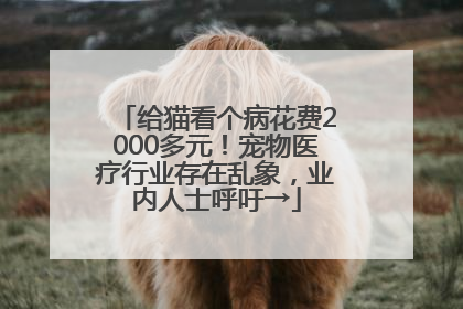 给猫看个病花费2000多元！宠物医疗行业存在乱象，业内人士呼吁→