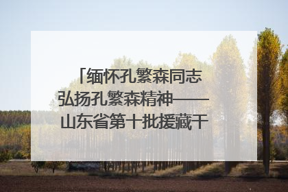 缅怀孔繁森同志 弘扬孔繁森精神——山东省第十批援藏干部人才清明节前到岗巴县开展党性教育