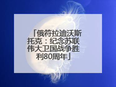 俄符拉迪沃斯托克：纪念苏联伟大卫国战争胜利80周年
