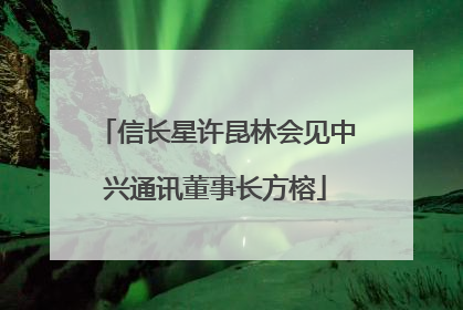 信长星许昆林会见中兴通讯董事长方榕