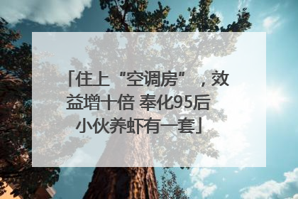 住上“空调房”，效益增十倍 奉化95后小伙养虾有一套