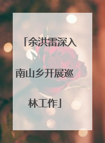 余洪雷深入南山乡开展巡林工作