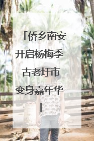 侨乡南安开启杨梅季 古老圩市变身嘉年华