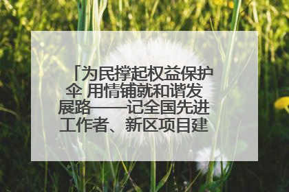 为民撑起权益保护伞 用情铺就和谐发展路——记全国先进工作者、新区项目建设中心干部卢小勇