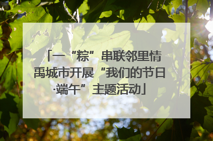 一“粽”串联邻里情 禹城市开展“我们的节日·端午”主题活动