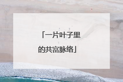 一片叶子里的共富脉络