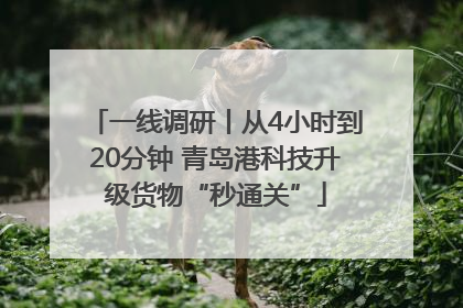 一线调研丨从4小时到20分钟 青岛港科技升级货物“秒通关”