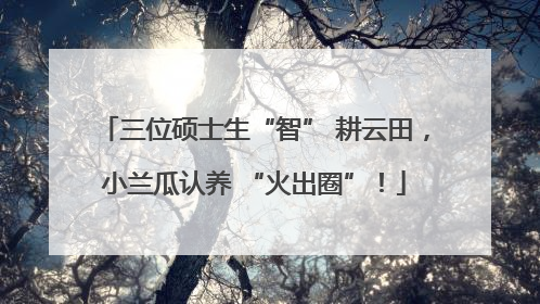 三位硕士生“智” 耕云田，小兰瓜认养 “火出圈”！