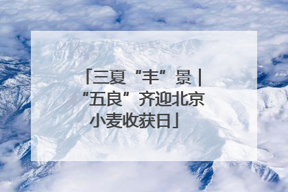 三夏“丰”景｜“五良”齐迎北京小麦收获日