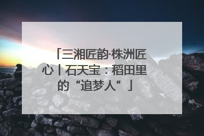 三湘匠韵·株洲匠心丨石天宝：稻田里的“追梦人”