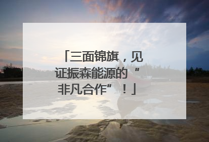 三面锦旗，见证振森能源的“非凡合作”！