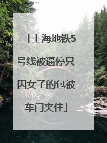 上海地铁5号线被逼停只因女子的包被车门夹住