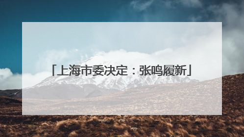 上海市委决定：张鸣履新