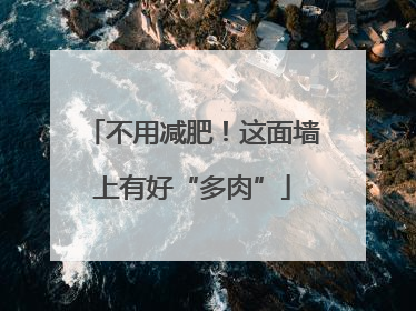 不用减肥！这面墙上有好“多肉”