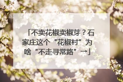不卖花椒卖椒芽？石家庄这个“花椒村”为啥“不走寻常路”→