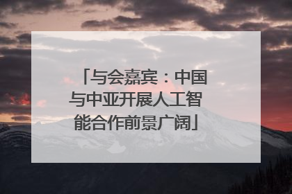 与会嘉宾：中国与中亚开展人工智能合作前景广阔