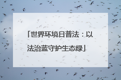 世界环境日普法：以法治蓝守护生态绿