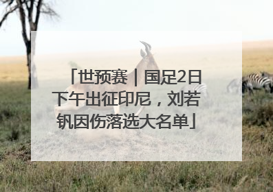 世预赛｜国足2日下午出征印尼，刘若钒因伤落选大名单