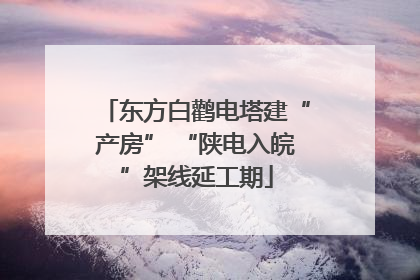 东方白鹳电塔建“产房” “陕电入皖”架线延工期