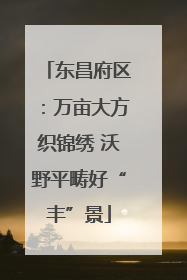东昌府区：万亩大方织锦绣 沃野平畴好“丰”景