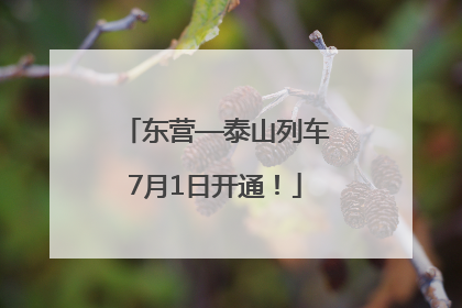 东营—泰山列车7月1日开通！