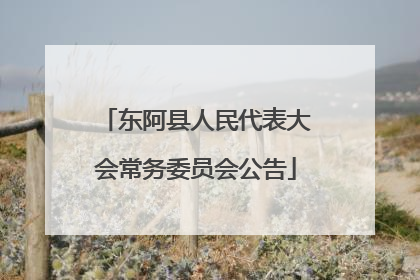 东阿县人民代表大会常务委员会公告