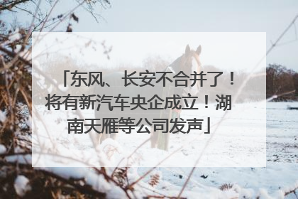 东风、长安不合并了！将有新汽车央企成立！湖南天雁等公司发声