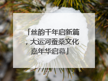 丝韵千年启新篇，大运河蚕桑文化嘉年华启幕