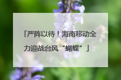 严阵以待！海南移动全力迎战台风“蝴蝶”