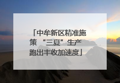 中牟新区精准施策 “三夏”生产跑出丰收加速度