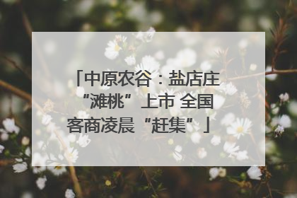 中原农谷：盐店庄“滩桃”上市 全国客商凌晨“赶集”