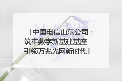 中国电信山东公司：筑牢数字新基建基座 引领万兆光网新时代