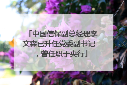 中国信保副总经理李文森已升任党委副书记，曾任职于央行