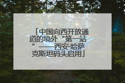 中国向西开放通道的境外“第一站”——西安·哈萨克斯坦码头启用