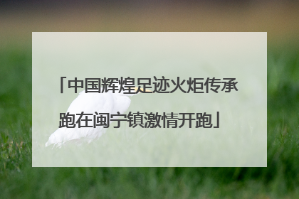 中国辉煌足迹火炬传承跑在闽宁镇激情开跑