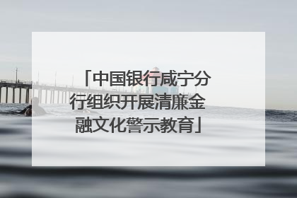 中国银行咸宁分行组织开展清廉金融文化警示教育