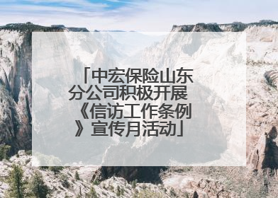 中宏保险山东分公司积极开展《信访工作条例》宣传月活动