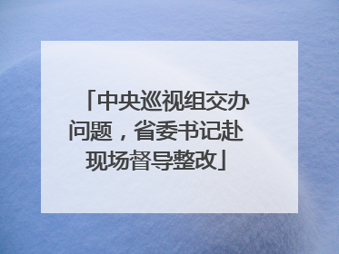 中央巡视组交办问题，省委书记赴现场督导整改