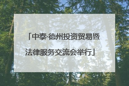 中泰·德州投资贸易暨法律服务交流会举行