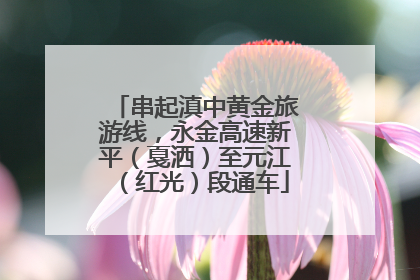 串起滇中黄金旅游线，永金高速新平（戛洒）至元江（红光）段通车