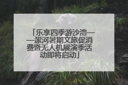 乐享四季游沙澧——漯河暑期文旅促消费暨无人机展演季活动即将启动